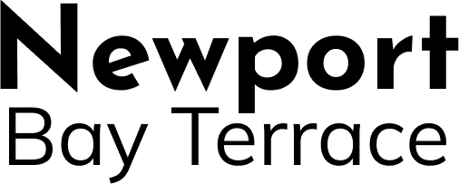 a clear black sky